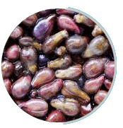 Grape Seed